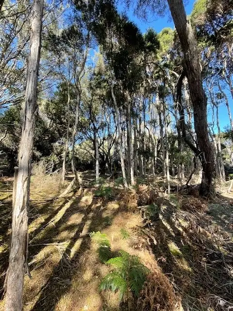 Second view of Homely rural property listing, 00 Fraser Rd, Pegarah TAS 7256