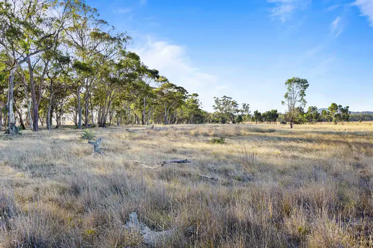 Seventh view of Homely rural property listing, CA 11 A,13 &126 A Stawell - Avoca Road, Navarre VIC 3384