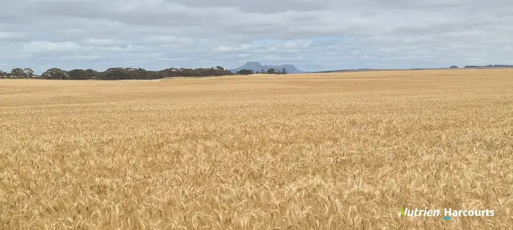 Main view of Homely rural property listing, 653 Monjebup Road, Monjebup WA 6338
