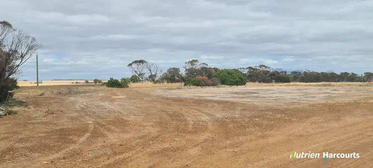 Second view of Homely rural property listing, 653 Monjebup Road, Monjebup WA 6338