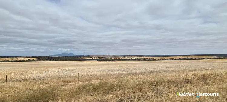 Seventh view of Homely rural property listing, 653 Monjebup Road, Monjebup WA 6338