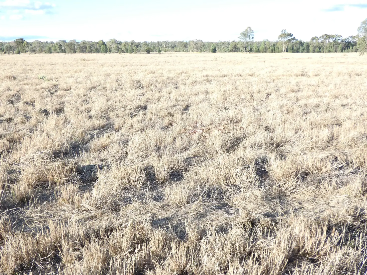 Main view of Homely land listing, Lot 110 Village Way, Miles QLD 4415