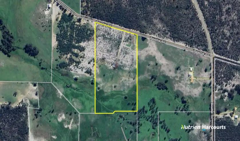 Main view of Homely rural property listing, 133 Beattie Road, Muckenburra WA 6503
