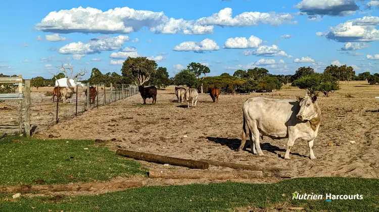 Fourth view of Homely rural property listing, 133 Beattie Road, Muckenburra WA 6503