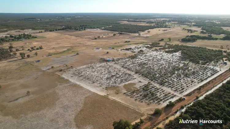 Sixth view of Homely rural property listing, 133 Beattie Road, Muckenburra WA 6503