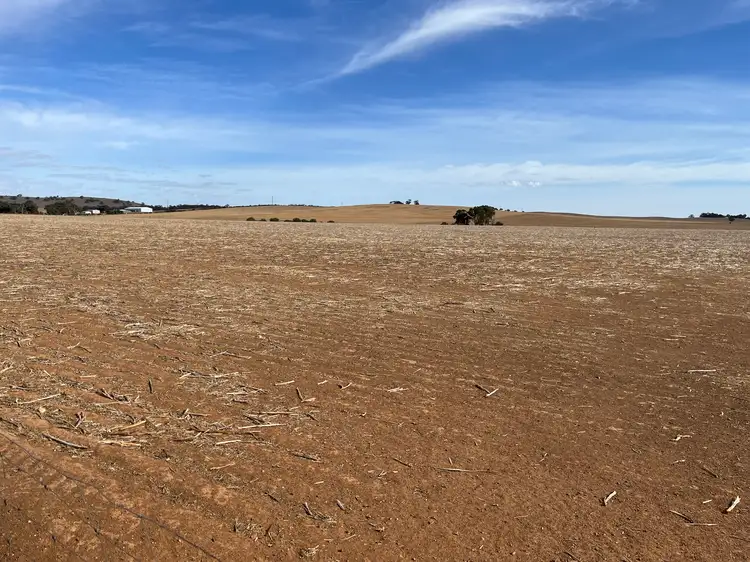 Third view of Homely rural property listing, Sec 1065 Main Road 45, Marrabel SA 5413