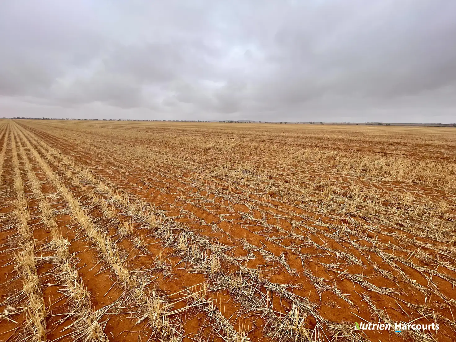 Main view of Homely rural property listing, 1662 Morawa - Yalgoo Road, Morawa WA 6623