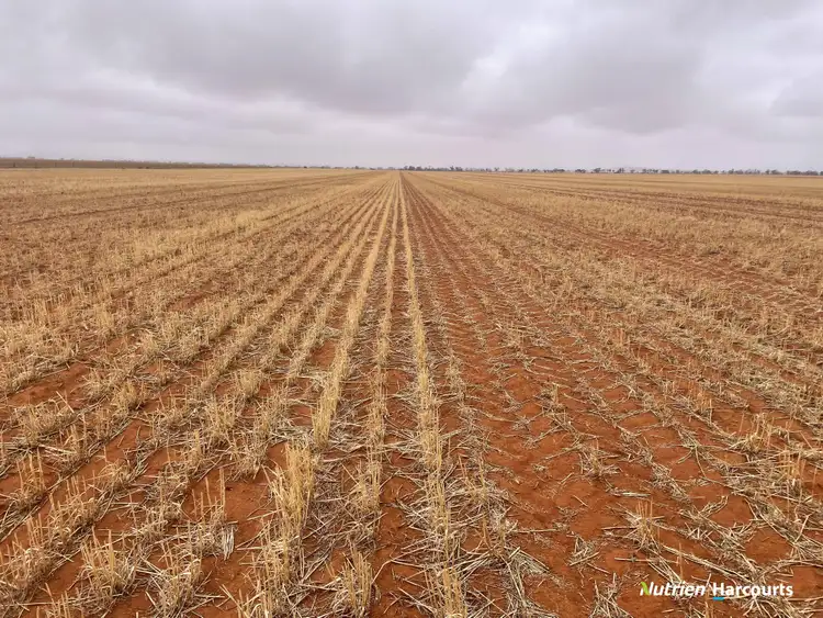 Fifth view of Homely rural property listing, 1662 Morawa - Yalgoo Road, Morawa WA 6623