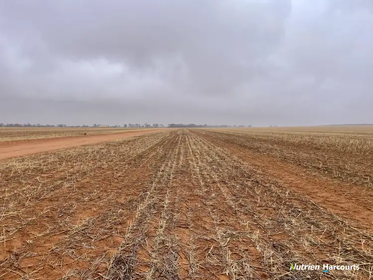 Sixth view of Homely rural property listing, 1662 Morawa - Yalgoo Road, Morawa WA 6623