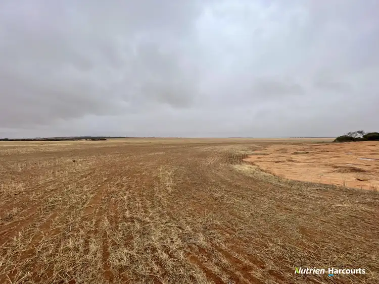 Seventh view of Homely rural property listing, 1662 Morawa - Yalgoo Road, Morawa WA 6623