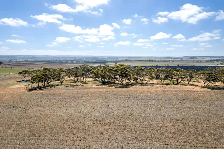 Second view of Homely rural property listing, 105 Piggery Road, Mannum SA 5238