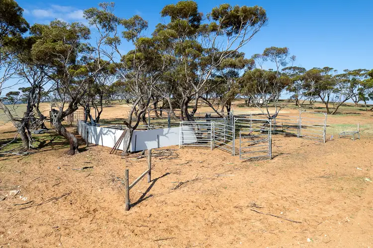 Third view of Homely rural property listing, 105 Piggery Road, Mannum SA 5238