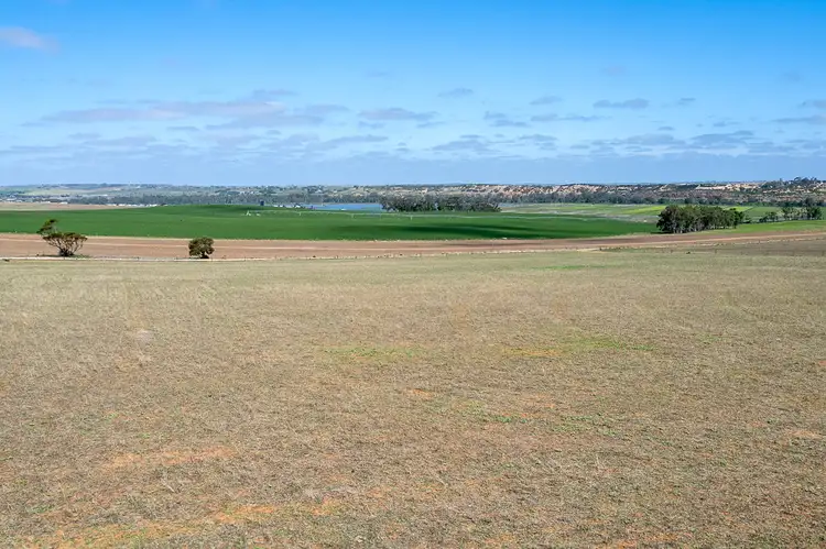 Sixth view of Homely rural property listing, 105 Piggery Road, Mannum SA 5238
