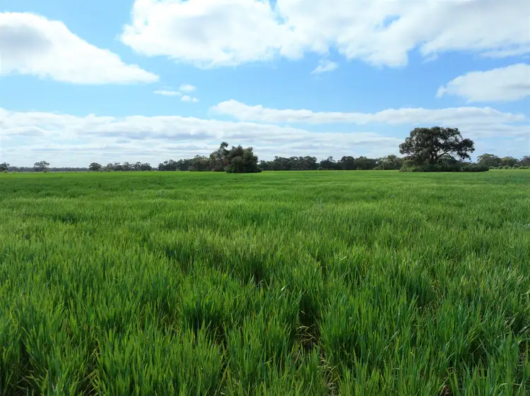 Fourth view of Homely rural property listing, Smeatonvale/2452 Cobb Highway, Deniliquin NSW 2710