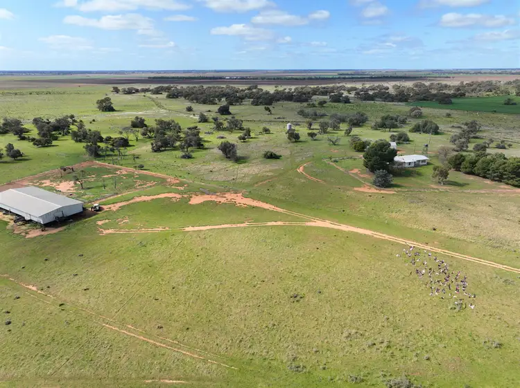 Fifth view of Homely rural property listing, Smeatonvale/2452 Cobb Highway, Deniliquin NSW 2710