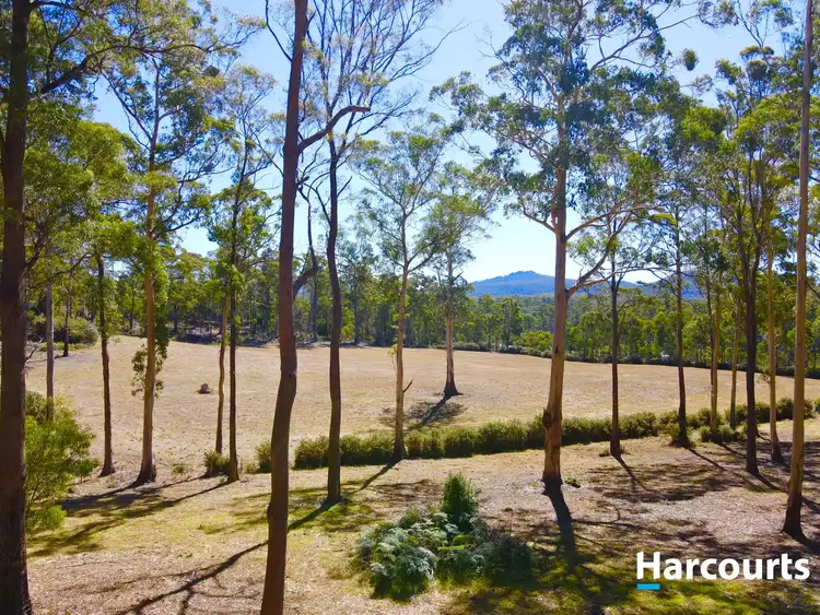 Third view of Homely land listing, 64 Irish Town Road, St Marys TAS 7215