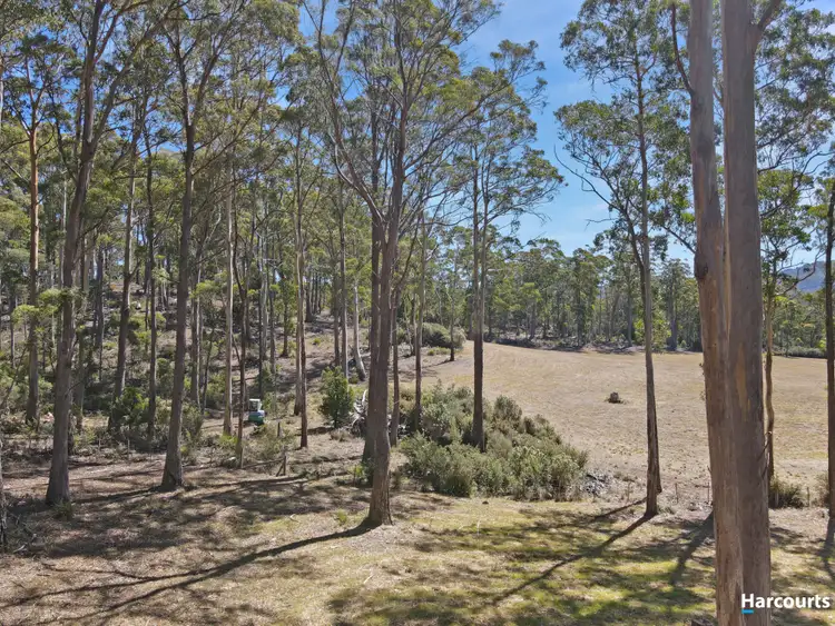Fifth view of Homely land listing, 64 Irish Town Road, St Marys TAS 7215