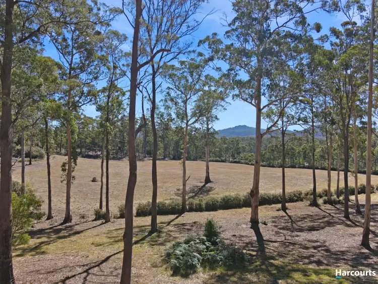 Sixth view of Homely land listing, 64 Irish Town Road, St Marys TAS 7215