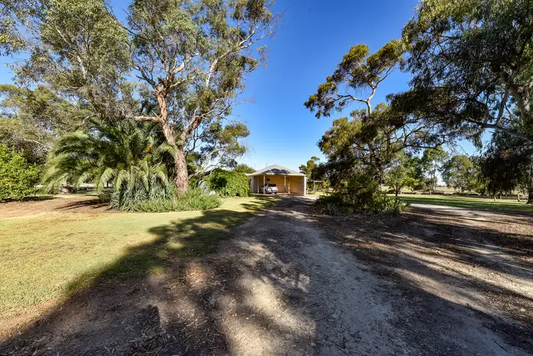 Fifth view of Homely rural property listing, 1534 Wirrega North Road, Keith SA 5267