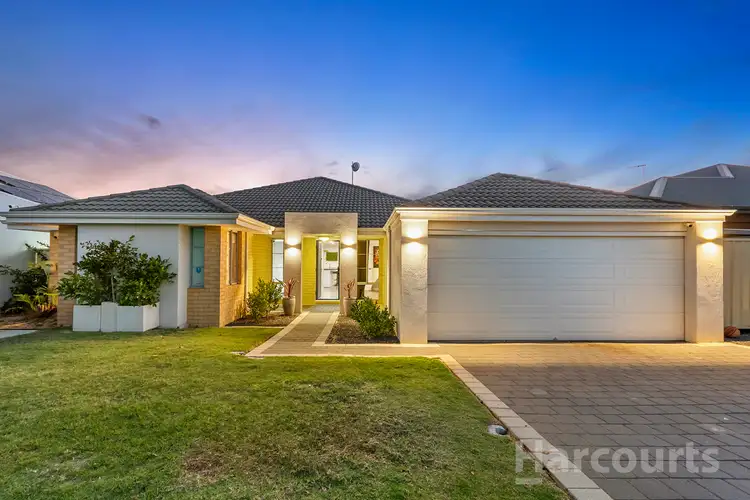 14 Cyandra Loop, Banksia Grove WA 6031