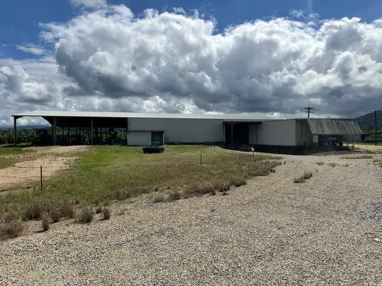 Second view of Homely rural property listing, 1052 North Davidson Road, Munro Plains QLD 4854