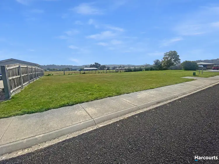 13 Palm Court, St Helens TAS 7216