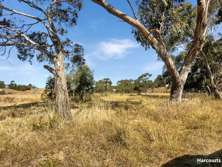 Sixth view of Homely land listing, 2 Dove Lane, Swansea TAS 7190