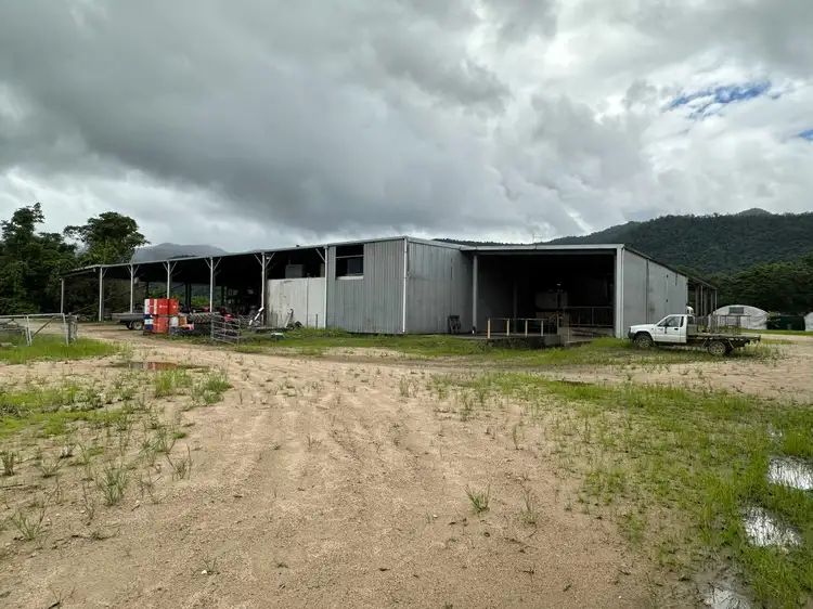 Main view of Homely rural property listing, 212 Tea Plantation Road, Jarra Creek QLD 4854