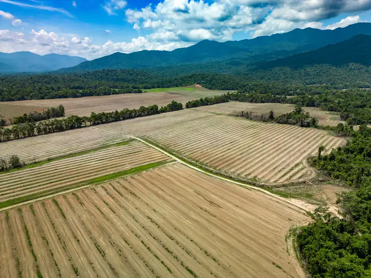 Seventh view of Homely rural property listing, 212 Tea Plantation Road, Jarra Creek QLD 4854
