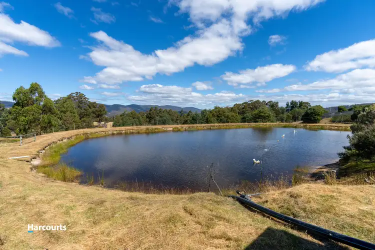 Sixth view of Homely house listing, 212 Clear View Road, Crabtree TAS 7109