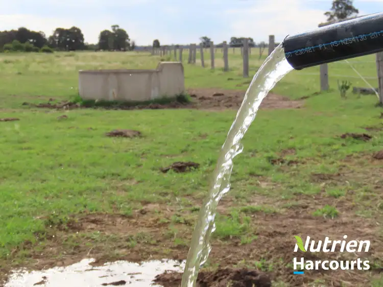 Third view of Homely rural property listing, 1731 Pelican Back Road, Chinchilla QLD 4413