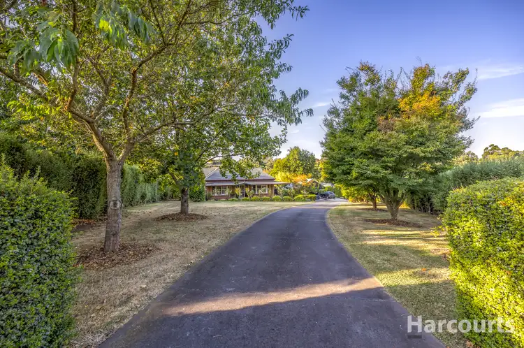 Main view of Homely house listing, 8 Kookaburra Court, Warragul VIC 3820