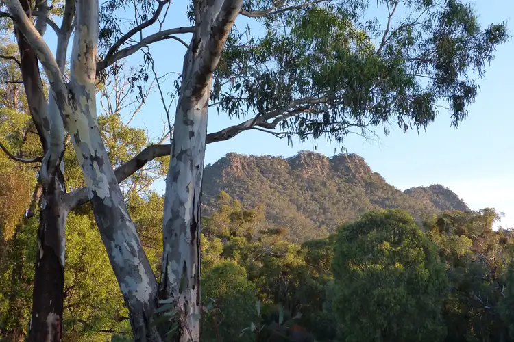 Fourth view of Homely rural property listing, 228 Cathedral Lane, Taggerty VIC 3714