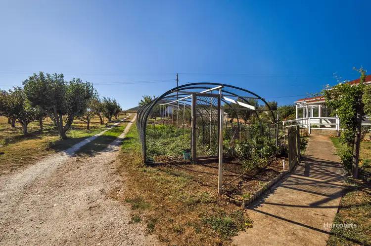 Fifth view of Homely house listing, 616 Pine Road, West Pine TAS 7316