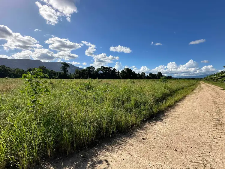 Third view of Homely rural property listing, Lot 2 South Davidson Road, Munro Plains QLD 4854