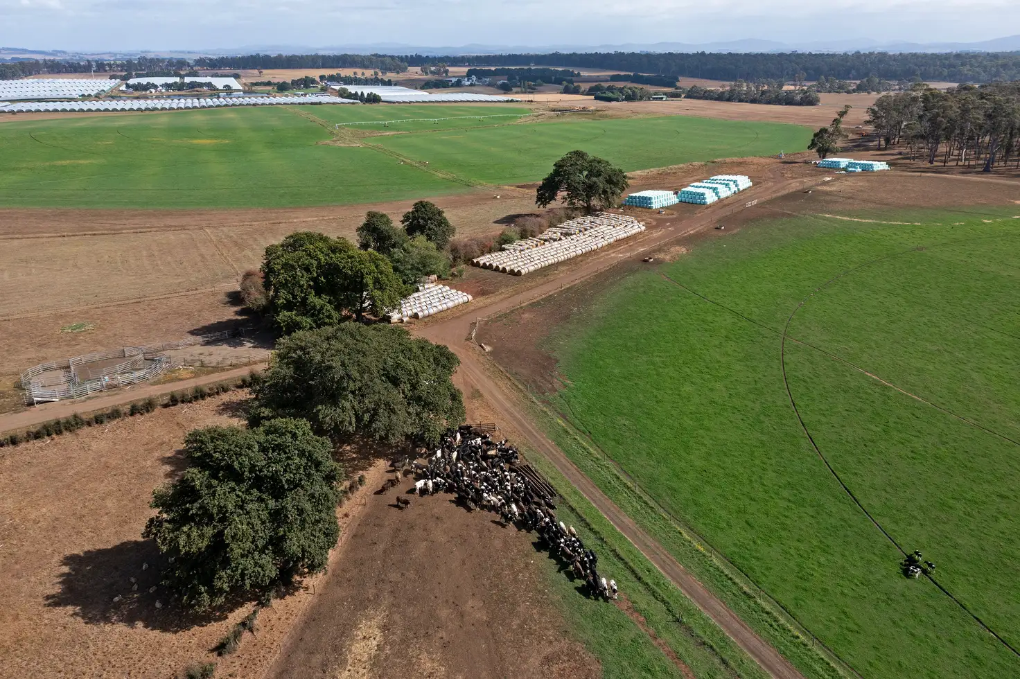 Main view of Homely rural property listing, 509 Oaks Road, Carrick TAS 7291