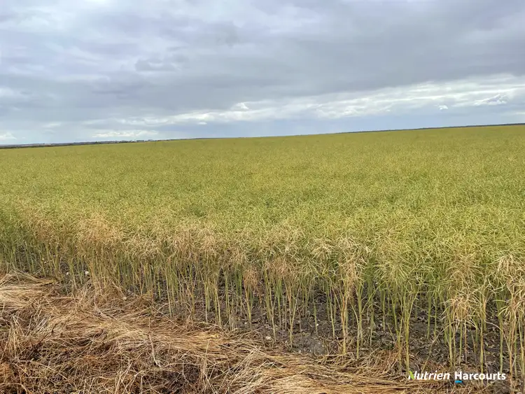 Second view of Homely rural property listing, , Johnstone's Block, Mindarabin WA 6336