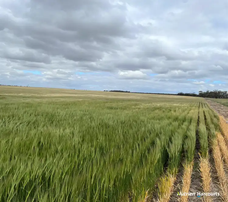 Third view of Homely rural property listing, , Johnstone's Block, Mindarabin WA 6336