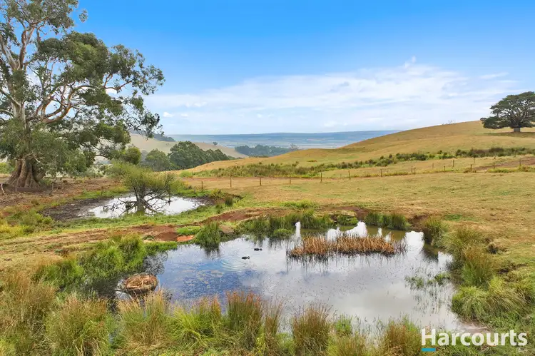 1246 Mirboo North- Trafalgar Road, Trafalgar VIC 3824
