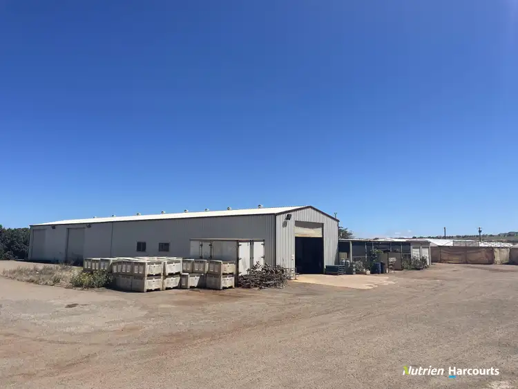 Fourth view of Homely rural property listing, 595 Geraldton - Mt Magnet Road, Moonyoonooka WA 6532