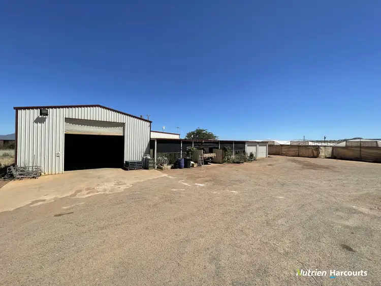 Fifth view of Homely rural property listing, 595 Geraldton - Mt Magnet Road, Moonyoonooka WA 6532
