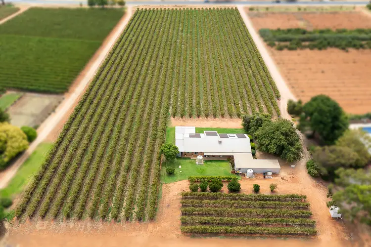 Third view of Homely house listing, 17324 Sturt Highway, Barmera SA 5345