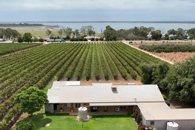 Fourth view of Homely house listing, 17324 Sturt Highway, Barmera SA 5345