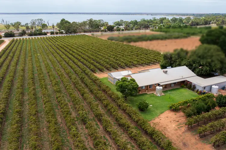 Fifth view of Homely house listing, 17324 Sturt Highway, Barmera SA 5345