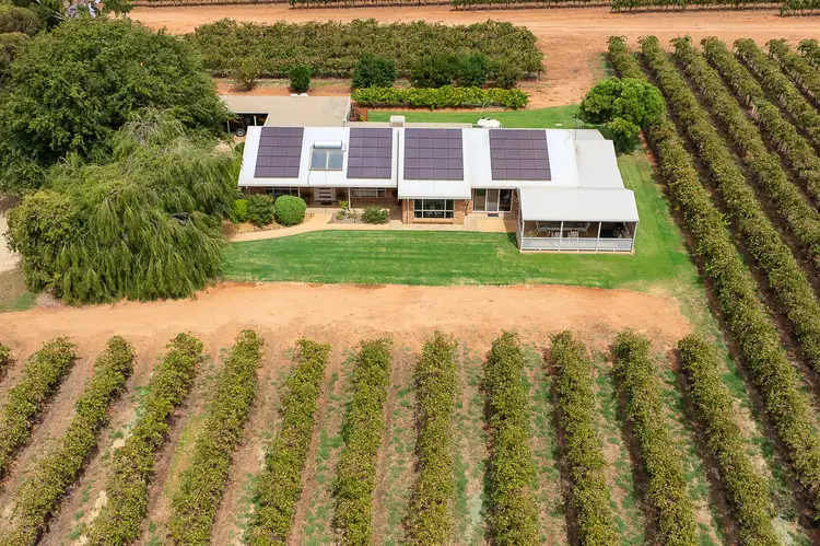 Seventh view of Homely house listing, 17324 Sturt Highway, Barmera SA 5345