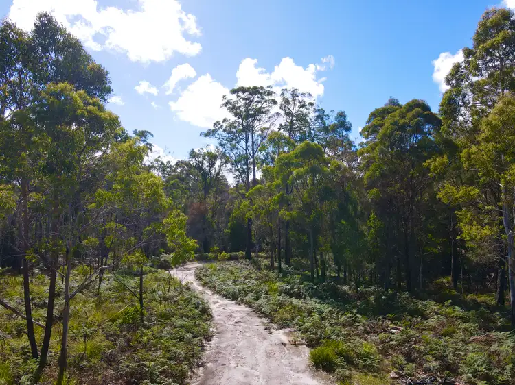 Main view of Homely land listing, 311 Medeas Cove Road, St Helens TAS 7216