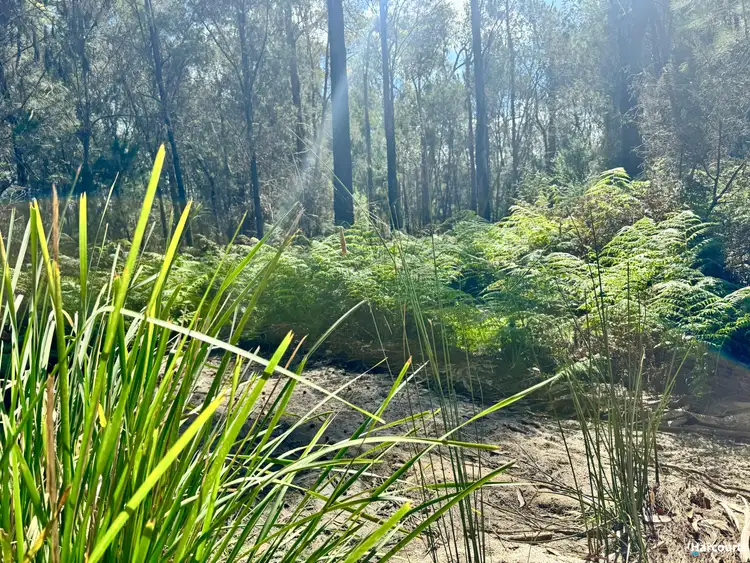 Second view of Homely land listing, 311 Medeas Cove Road, St Helens TAS 7216