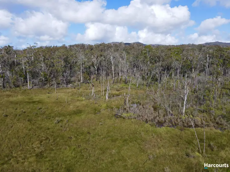 Fourth view of Homely land listing, 311 Medeas Cove Road, St Helens TAS 7216