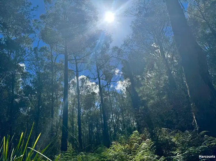 Sixth view of Homely land listing, 311 Medeas Cove Road, St Helens TAS 7216