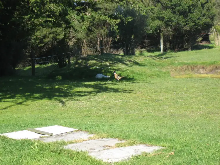 Fourth view of Homely studio listing, 2842 Grassy Road, Grassy TAS 7256